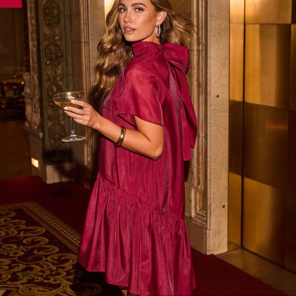 Vici Aurelie Organza Mini Dress - Picture 4 of 8